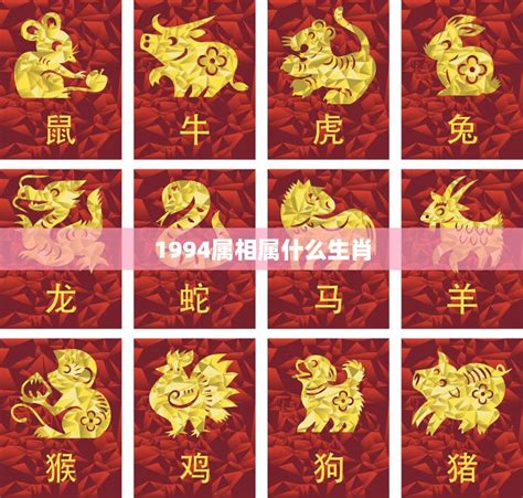 1994 狗|1994年出生属什么生肖 1994年属狗是什么命